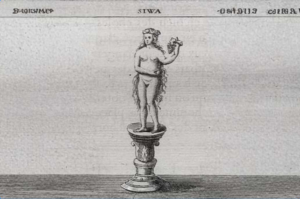 Žiwa Tržnica - Náš príbeh a vízia